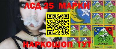 индика Будённовск