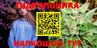 индика Будённовск