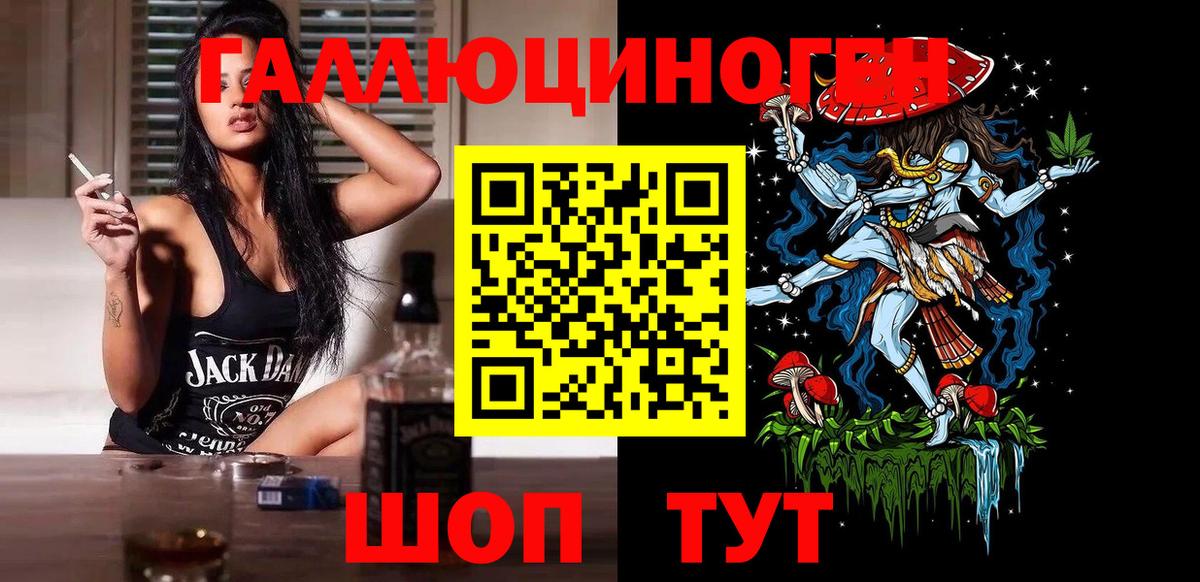 Всеволожск  Псилоцибиновые грибы Cubensis  Вход с VPN 